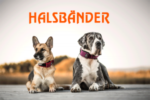 Halsbänder